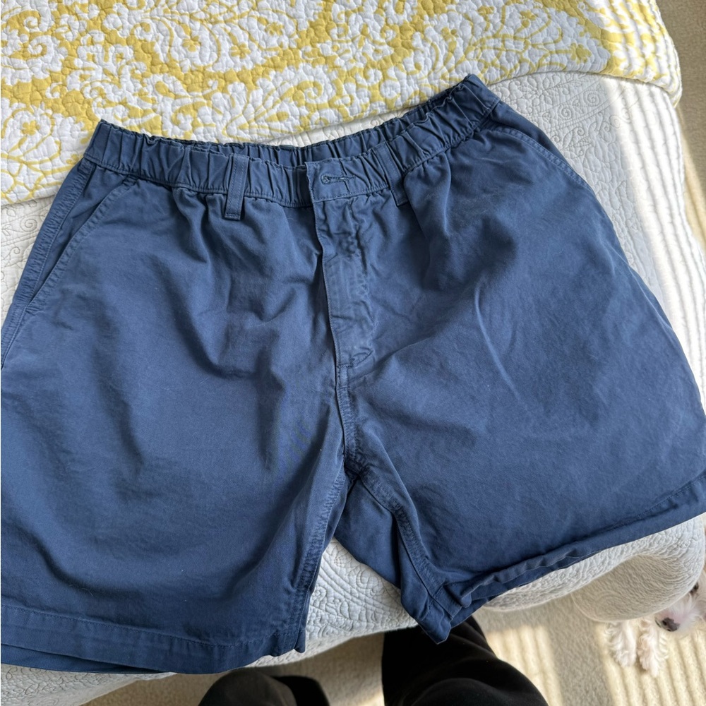 Chubbies Shorts